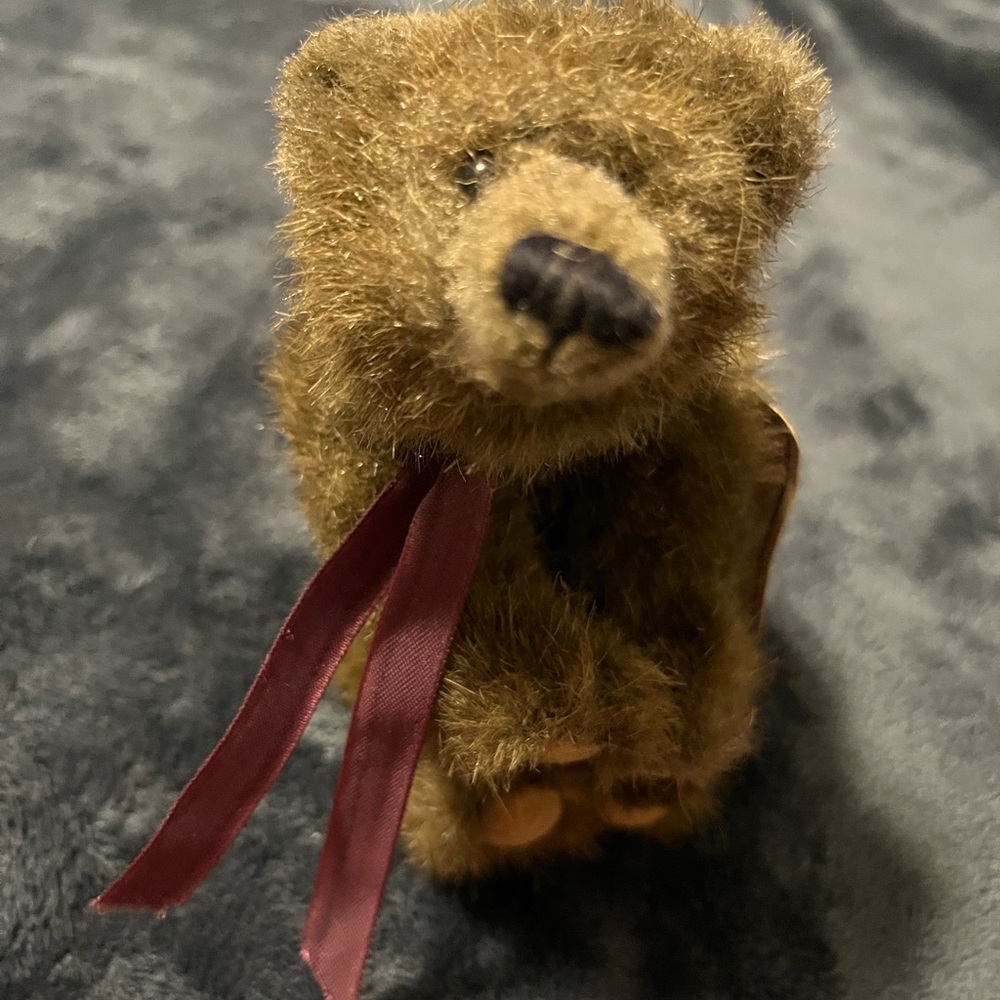 Plush Brown Bear with Red Ribbon